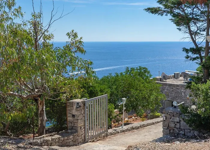 فيلة Paradisio *